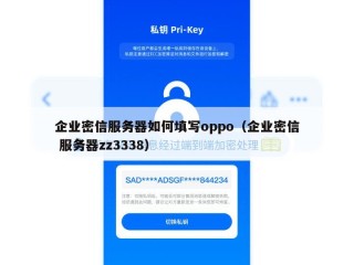 企业密信服务器如何填写oppo（企业密信 服务器zz3338）