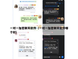 一对一加密聊天软件（一对一加密聊天软件哪个好）