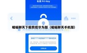 蝙蝠聊天下载教程华为版（蝙蝠聊天手机版）