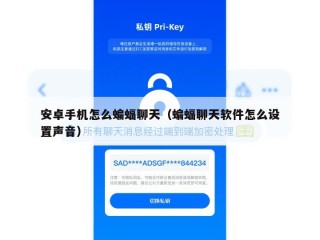 安卓手机怎么蝙蝠聊天（蝙蝠聊天软件怎么设置声音）