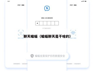 聊天蝙蝠（蝙蝠聊天是干啥的）