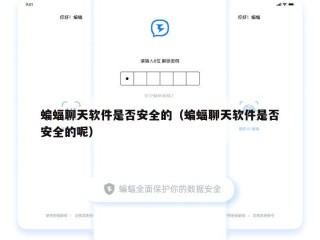 蝙蝠聊天软件是否安全的（蝙蝠聊天软件是否安全的呢）