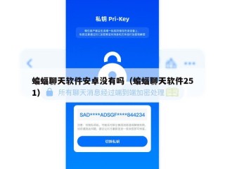 蝙蝠聊天软件安卓没有吗（蝙蝠聊天软件251）