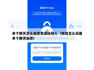 单个聊天怎么加密发送给别人（微信怎么设置单个聊天加密）
