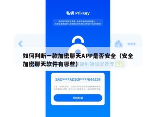 如何判断一款加密聊天APP是否安全（安全加密聊天软件有哪些）