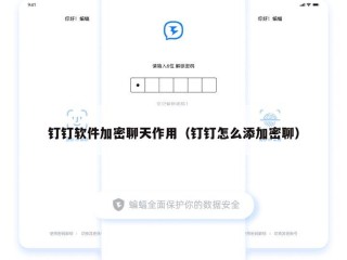 钉钉软件加密聊天作用（钉钉怎么添加密聊）