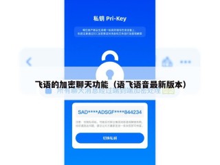 飞语的加密聊天功能（语飞语音最新版本）