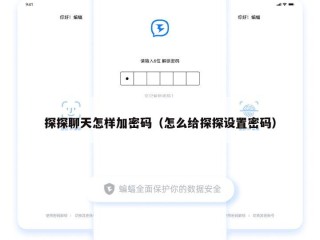 探探聊天怎样加密码（怎么给探探设置密码）