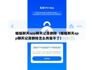 蝙蝠聊天app聊天记录删除（蝙蝠聊天app聊天记录删除怎么恢复不了）