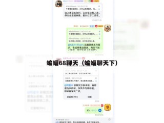 蝙蝠68聊天（蝙蝠聊天下）