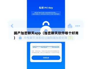 国产加密聊天app（加密聊天软件哪个好用）