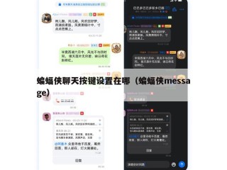 蝙蝠侠聊天按键设置在哪（蝙蝠侠message）