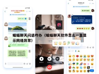 蝙蝠聊天闪退咋办（蝙蝠聊天软件怎么一直显示网络异常）