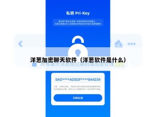 洋葱加密聊天软件（洋葱软件是什么）