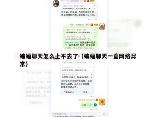 蝙蝠聊天怎么上不去了（蝙蝠聊天一直网络异常）