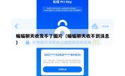 蝙蝠聊天收发不了图片（蝙蝠聊天收不到消息）