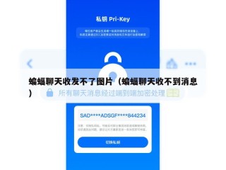 蝙蝠聊天收发不了图片（蝙蝠聊天收不到消息）
