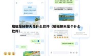 蝙蝠加秘聊天是什么软件（蝙蝠聊天是个什么软件）