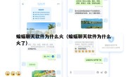 蝙蝠聊天软件为什么火（蝙蝠聊天软件为什么火了）