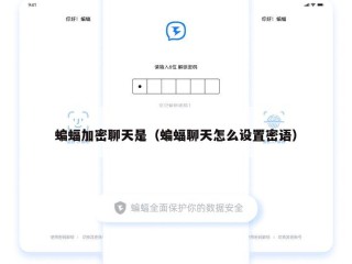 蝙蝠加密聊天是（蝙蝠聊天怎么设置密语）