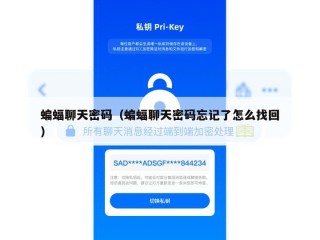 蝙蝠聊天密码（蝙蝠聊天密码忘记了怎么找回）
