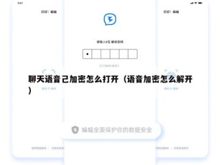 聊天语音己加密怎么打开（语音加密怎么解开）