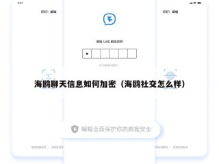 海鸥聊天信息如何加密（海鸥社交怎么样）