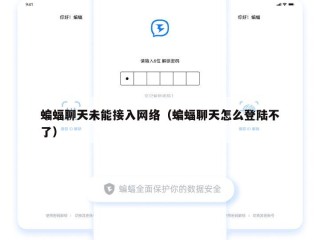 蝙蝠聊天未能接入网络（蝙蝠聊天怎么登陆不了）