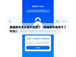 蝙蝠聊天怎么搜不到群了（蝙蝠聊天搜索不了好友）
