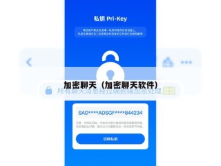 加密聊天（加密聊天软件）