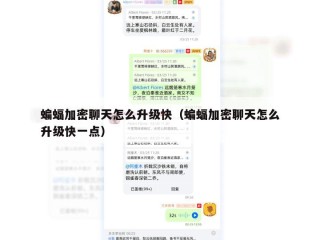 蝙蝠加密聊天怎么升级快（蝙蝠加密聊天怎么升级快一点）