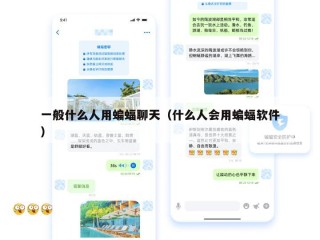 一般什么人用蝙蝠聊天（什么人会用蝙蝠软件）