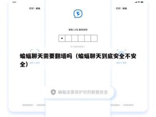 蝙蝠聊天需要翻墙吗（蝙蝠聊天到底安全不安全）