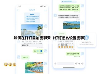 如何在钉钉里加密聊天（钉钉怎么设置密聊）