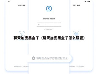聊天加密黑盒子（聊天加密黑盒子怎么设置）