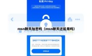 msn聊天加密吗（msn聊天还能用吗）