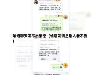 蝙蝠聊天发不出消息（蝙蝠发消息别人看不到）
