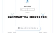蝙蝠加密聊天是个什么（蝙蝠加密是干嘛的）