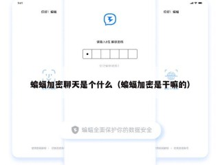 蝙蝠加密聊天是个什么（蝙蝠加密是干嘛的）