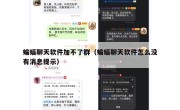 蝙蝠聊天软件加不了群（蝙蝠聊天软件怎么没有消息提示）