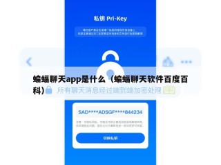 蝙蝠聊天app是什么（蝙蝠聊天软件百度百科）