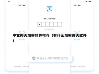 中文聊天加密软件推荐（有什么加密聊天软件）