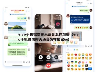 vivo手机微信聊天语音怎样加密（vivo手机微信聊天语音怎样加密码）