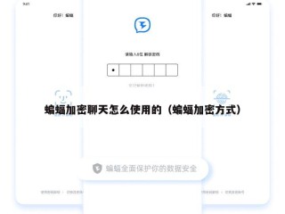 蝙蝠加密聊天怎么使用的（蝙蝠加密方式）