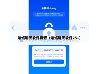 蝙蝠聊天软件资源（蝙蝠聊天软件251）