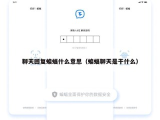 聊天回复蝙蝠什么意思（蝙蝠聊天是干什么）