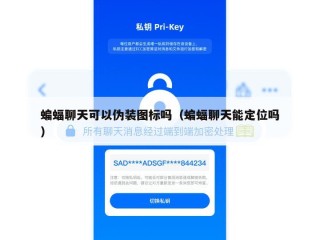 蝙蝠聊天可以伪装图标吗（蝙蝠聊天能定位吗）