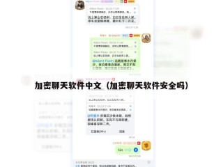 加密聊天软件中文（加密聊天软件安全吗）