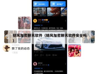 随风加密聊天软件（随风加密聊天软件安全吗）