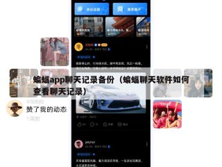 蝙蝠app聊天记录备份（蝙蝠聊天软件如何查看聊天记录）
